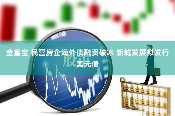 金富宝 民营房企海外债融资破冰 新城发展拟发行美元债