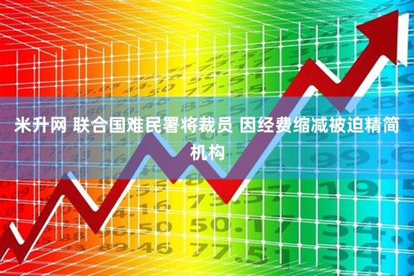 米升网 联合国难民署将裁员 因经费缩减被迫精简机构
