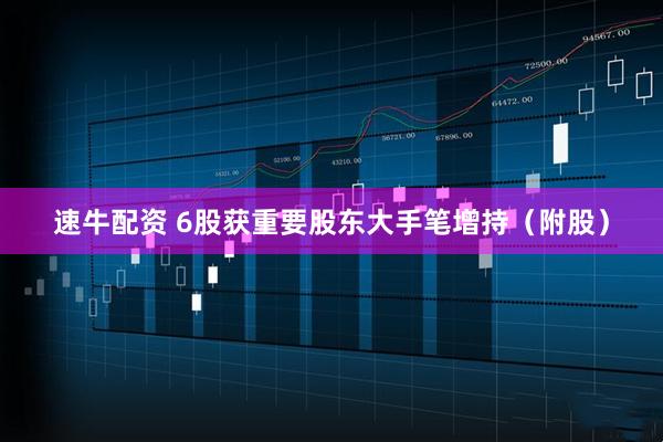速牛配资 6股获重要股东大手笔增持（附股）