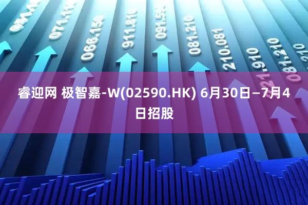 睿迎网 极智嘉-W(02590.HK) 6月30日—7月4日招股