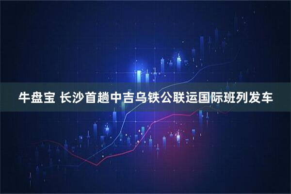 牛盘宝 长沙首趟中吉乌铁公联运国际班列发车